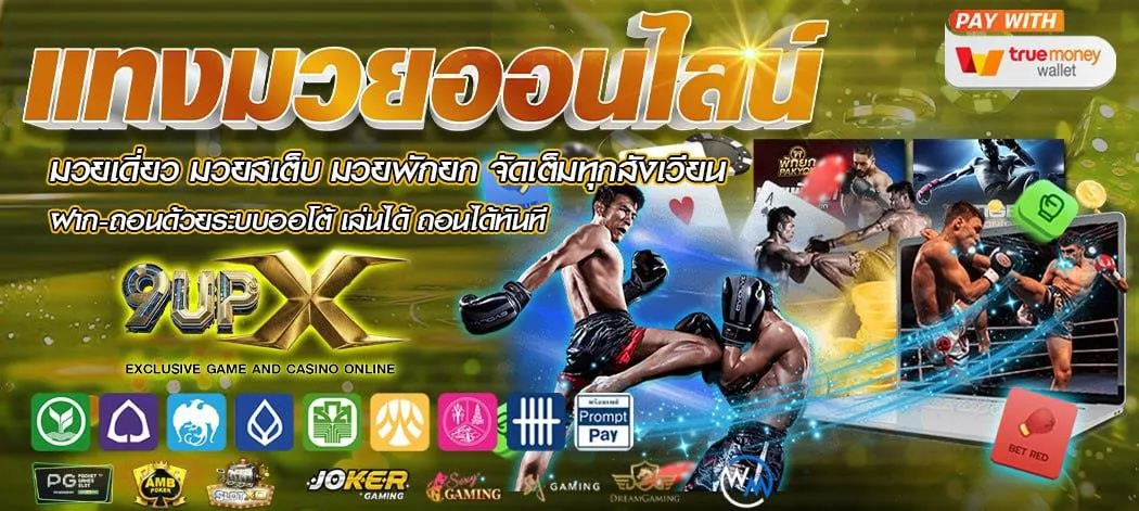 Single boxing matches, step boxing, round-by-round boxing – full package - 9upx-bet